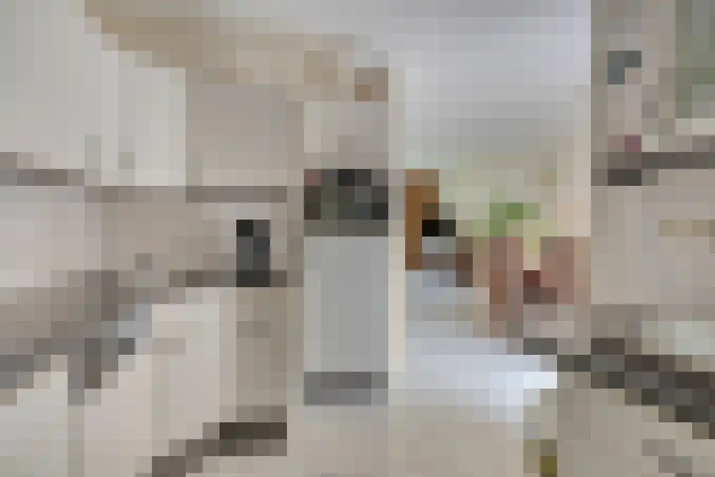 de Bryde 25 Netterden thumbnail 14