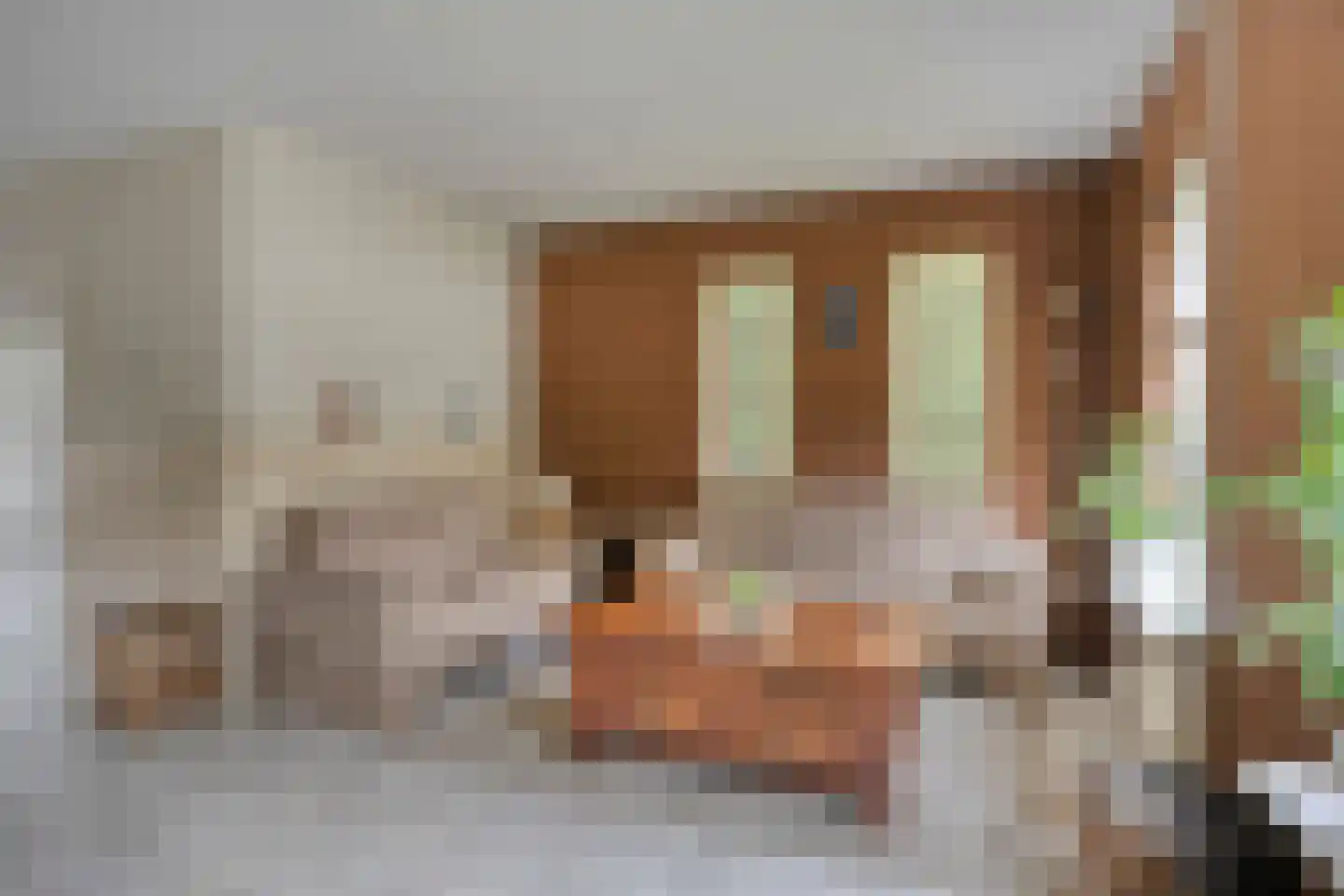 de Bryde 25 Netterden thumbnail 9