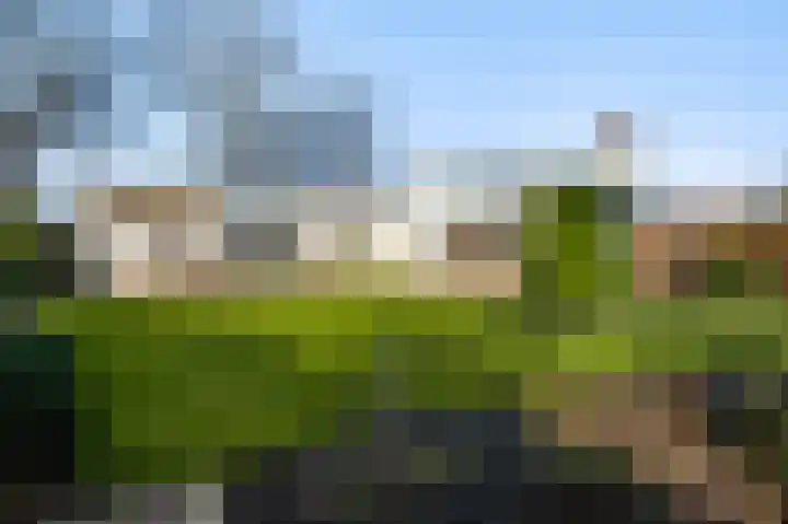 De Buffer 19 Tzummarum thumbnail 11