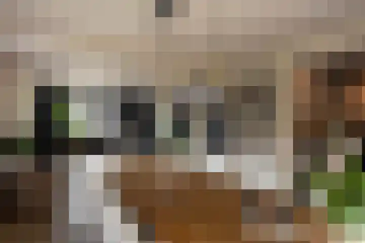 De Buffer 19 Tzummarum foto 2