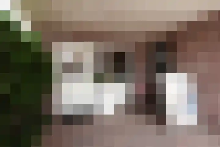 De Buffer 19 Tzummarum thumbnail 27