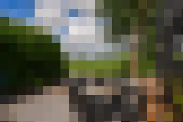 De Buffer 19 Tzummarum foto 3