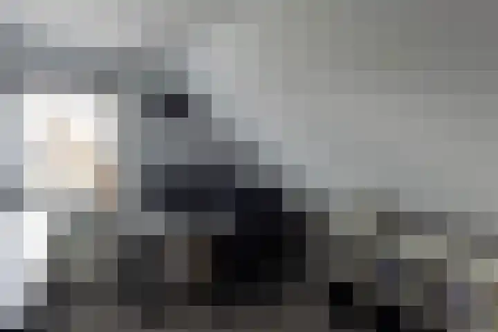 De Buffer 19 Tzummarum thumbnail 32