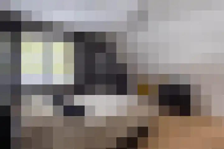 De Buffer 19 Tzummarum thumbnail 39