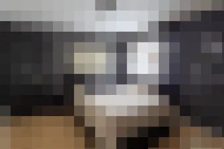 De Buffer 19 Tzummarum thumbnail 40