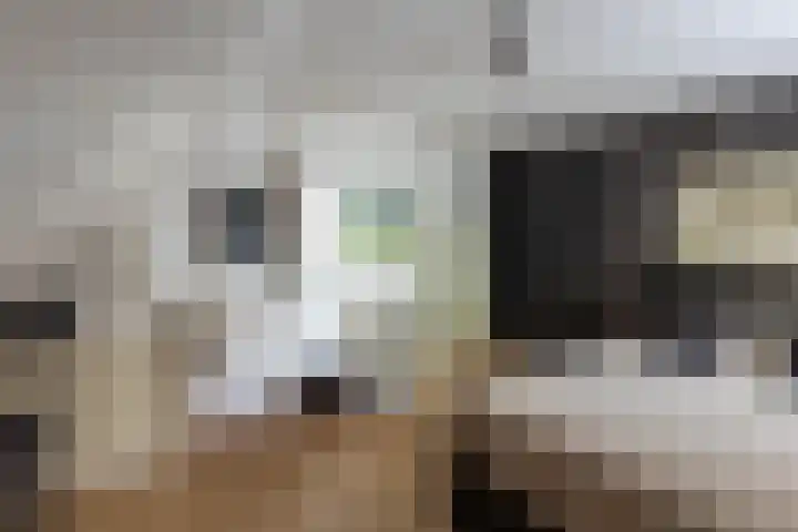 De Buffer 19 Tzummarum thumbnail 41