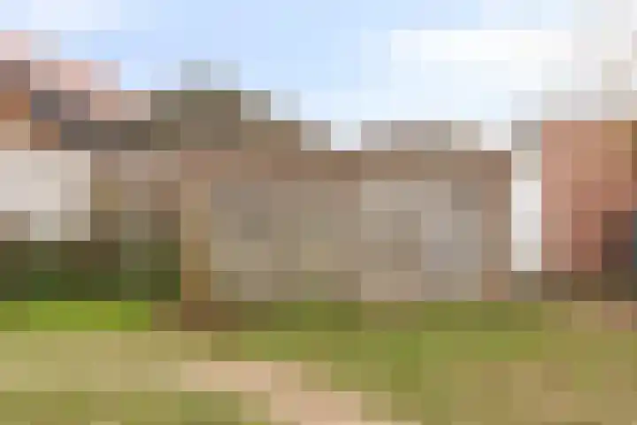 De Buffer 19 Tzummarum thumbnail 42