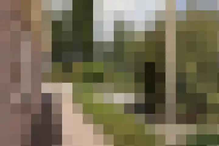 De Buffer 19 Tzummarum thumbnail 47