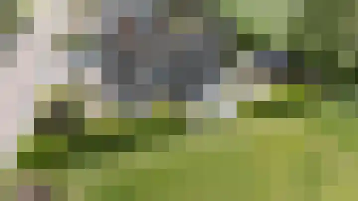 De Buffer 19 Tzummarum thumbnail 49