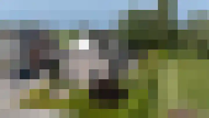 De Buffer 19 Tzummarum thumbnail 5