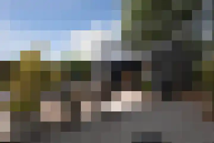 De Buffer 19 Tzummarum thumbnail 50