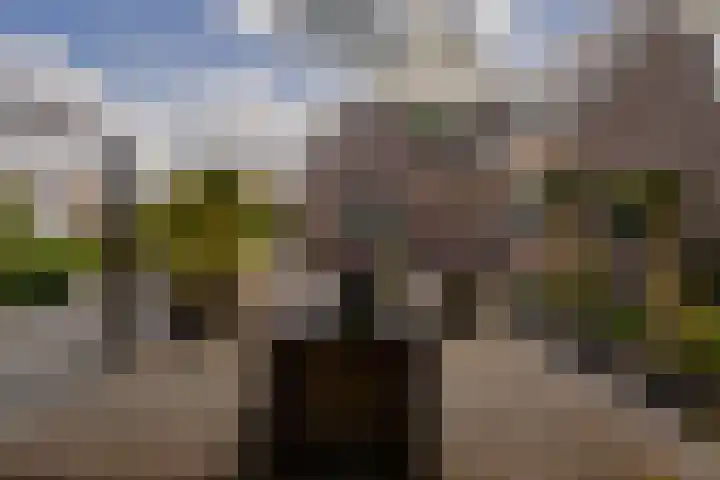 De Buffer 19 Tzummarum thumbnail 52