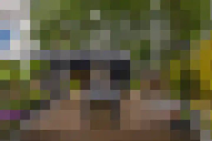 De Buffer 19 Tzummarum thumbnail 53