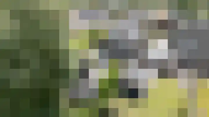 De Buffer 19 Tzummarum thumbnail 55