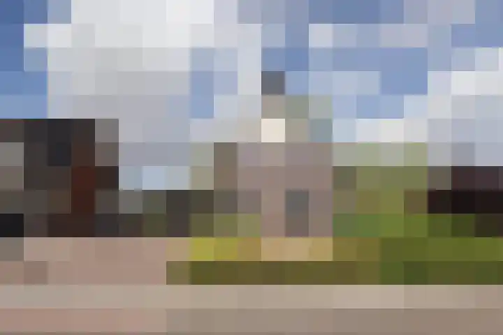 De Buffer 19 Tzummarum thumbnail 6