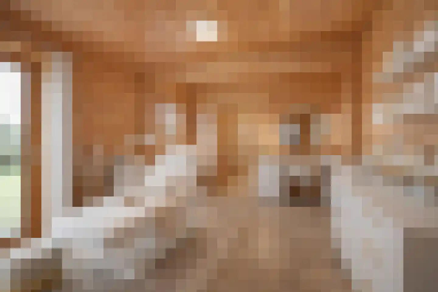 De Bûgel 2 Oudemirdum thumbnail 18