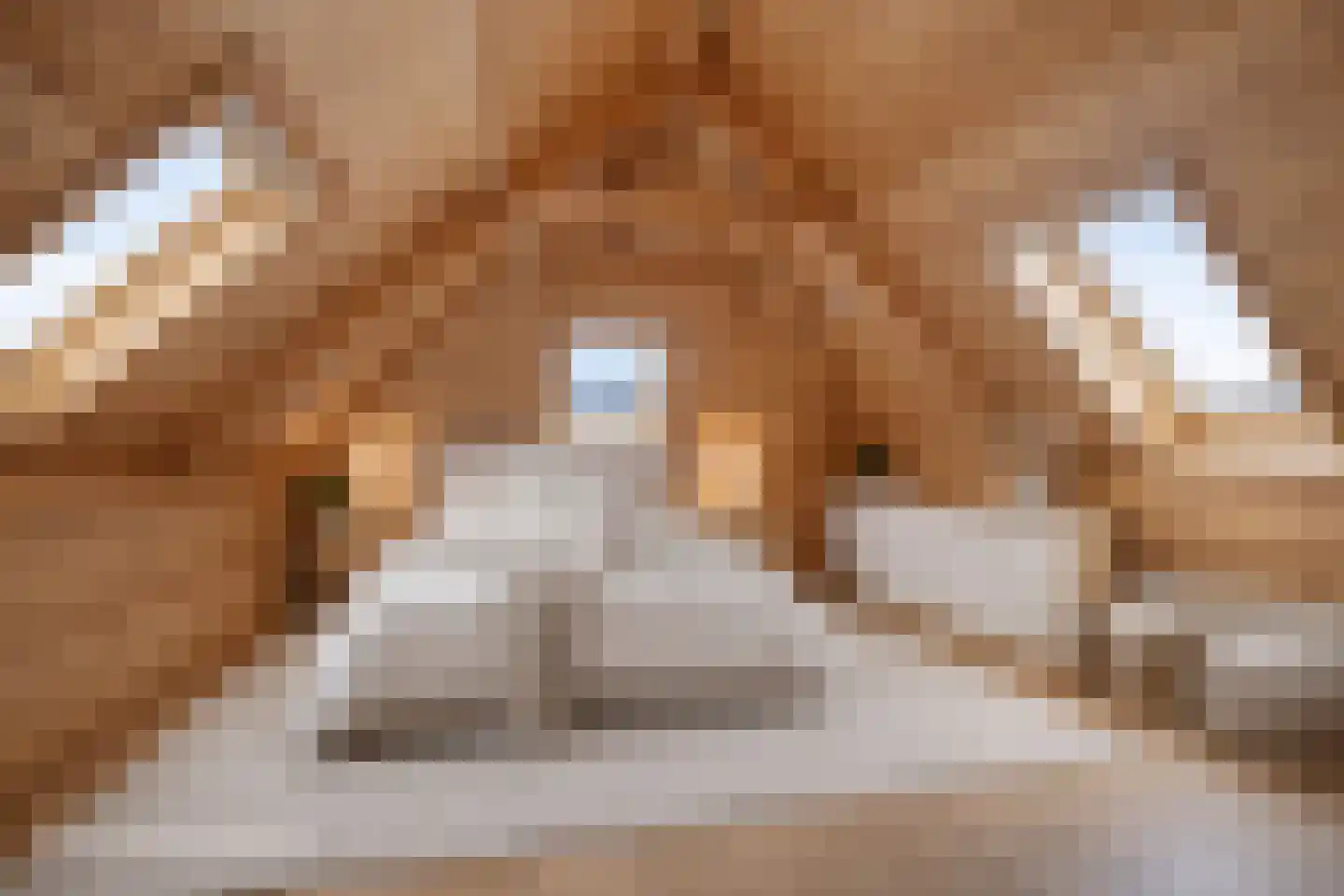 De Bûgel 2 Oudemirdum thumbnail 32