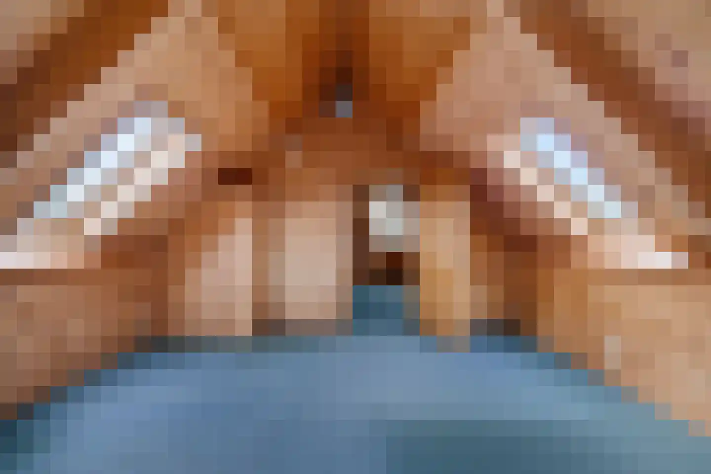 De Bûgel 2 Oudemirdum thumbnail 33