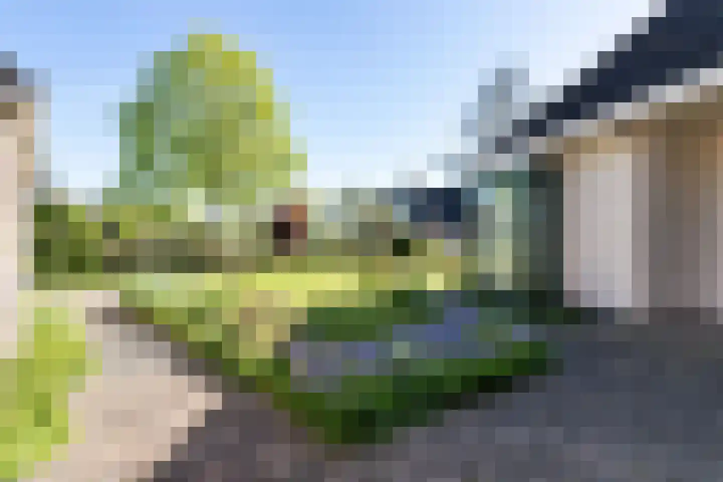 De Bûgel 2 Oudemirdum thumbnail 4
