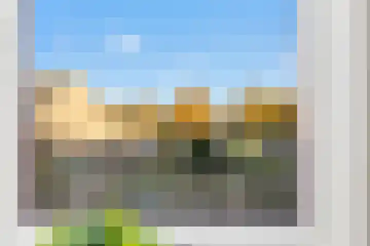 De Buiskap 11 Dronten thumbnail 31