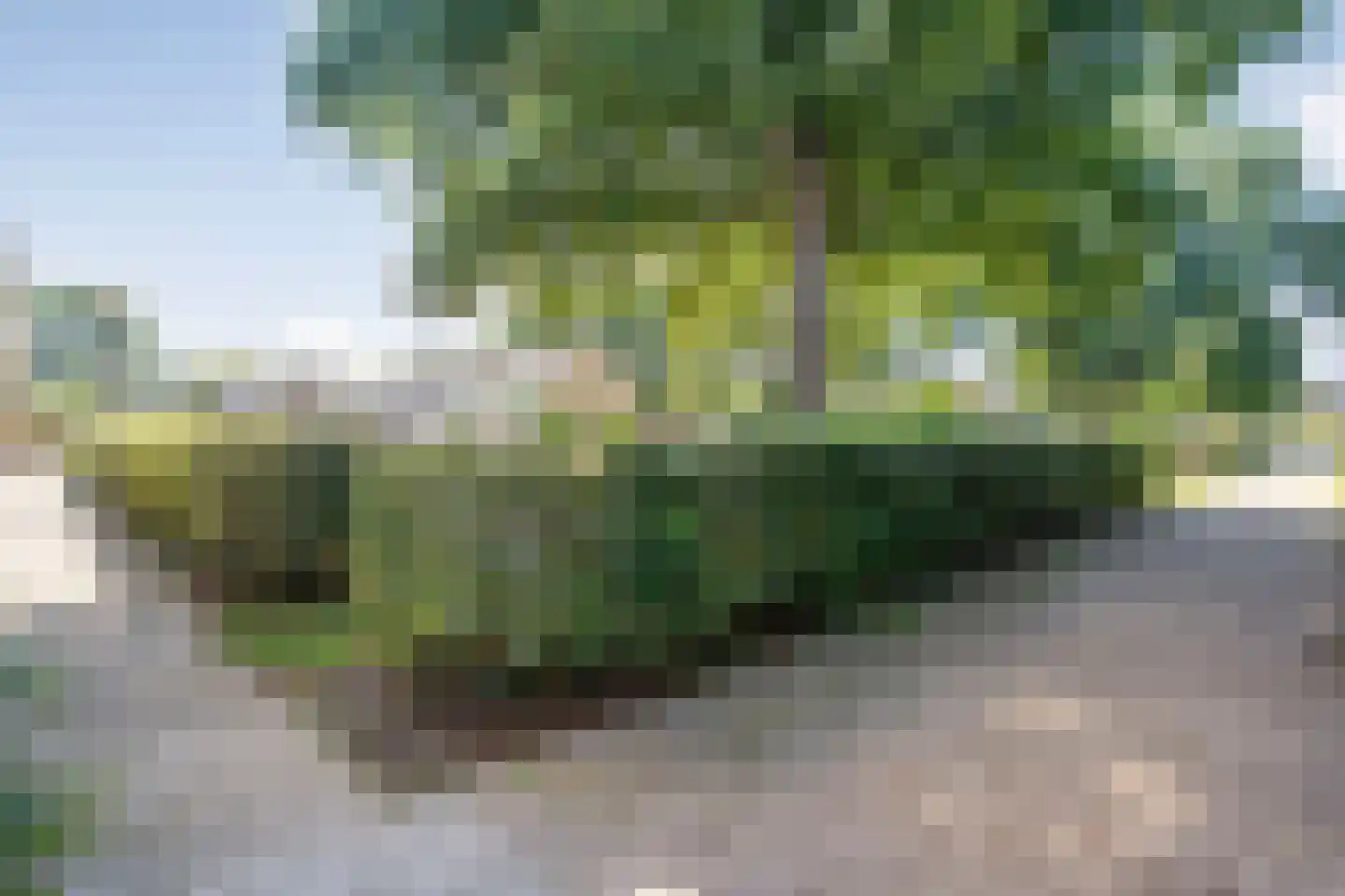 De Buiskap 19 Dronten thumbnail 37