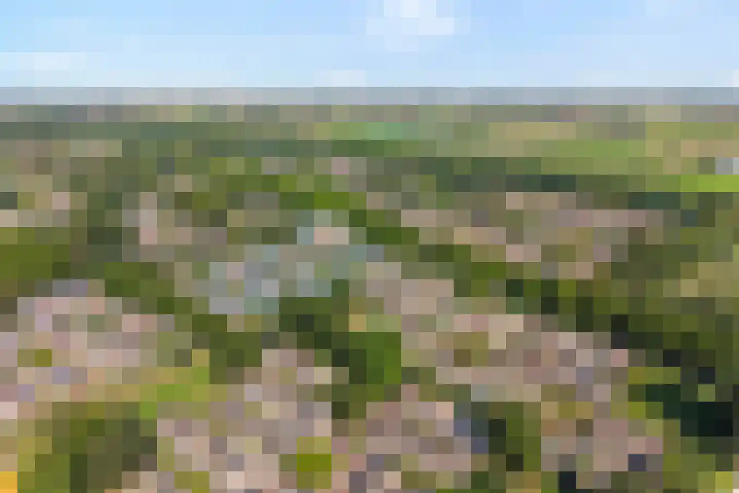 De Buiskap 19 Dronten thumbnail 39
