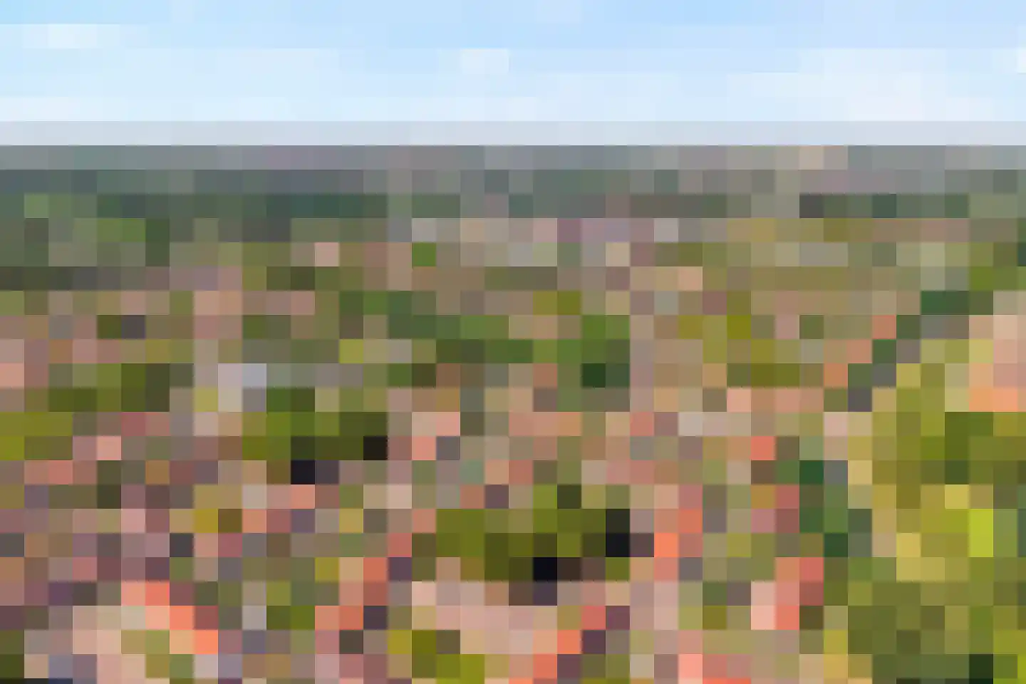 De Buiskap 19 Dronten thumbnail 40