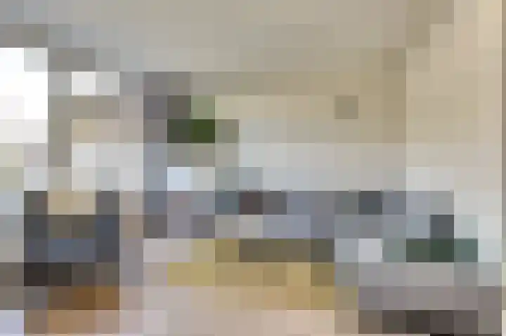 De Buiskap 3 Dronten foto 3