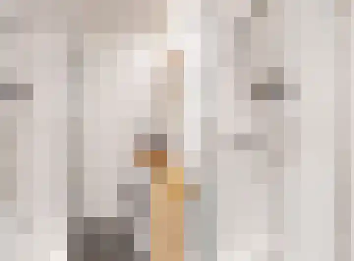 De Buiskap 3 Dronten thumbnail 35