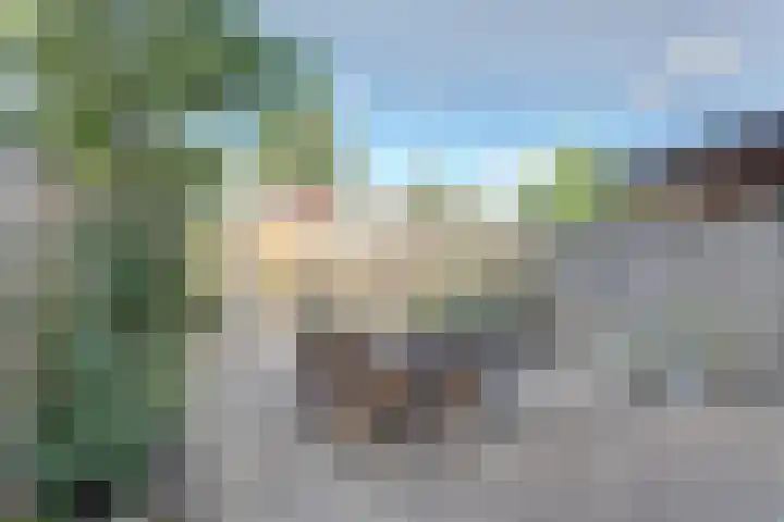 De Buiskap 3 Dronten thumbnail 37