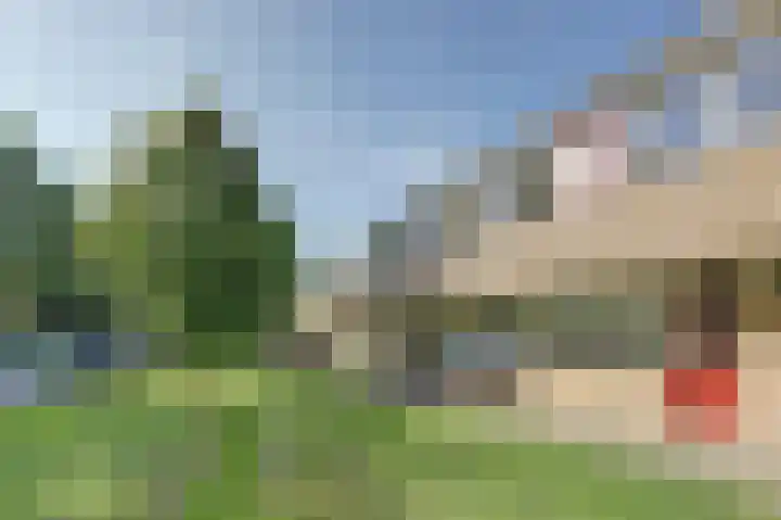 De Buiskap 3 Dronten thumbnail 38