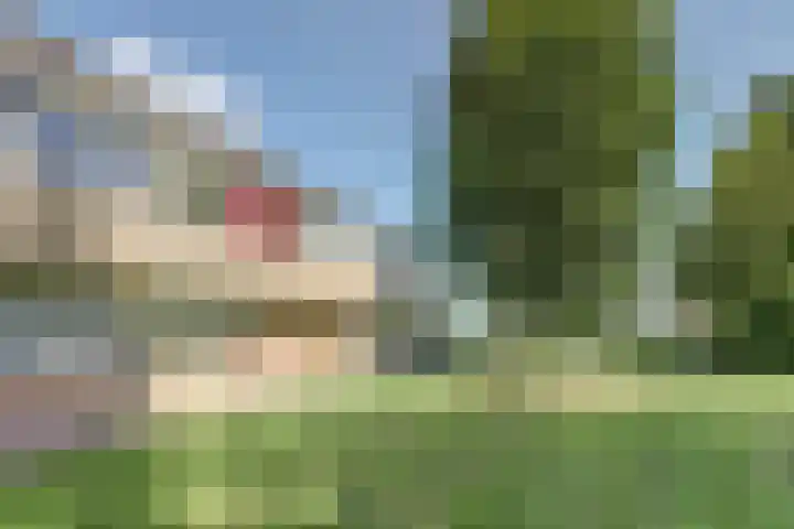 De Buiskap 3 Dronten thumbnail 39