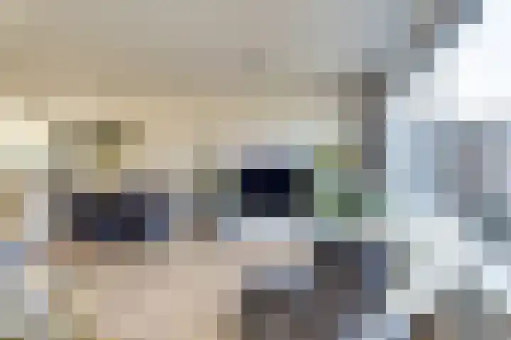 De Buiskap 3 Dronten thumbnail 9