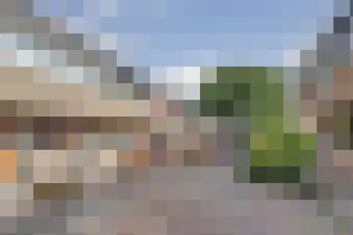 De Buiskap 31 Dronten thumbnail 38