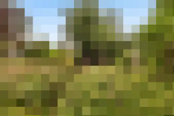De Buiskap 45 Dronten thumbnail 18