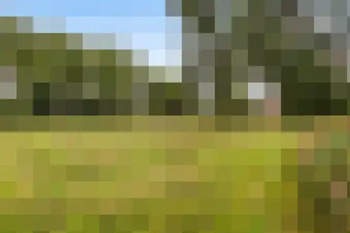 De Buiskap 45 Dronten thumbnail 19