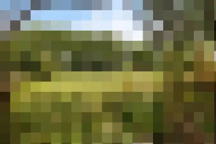 De Buiskap 45 Dronten thumbnail 4