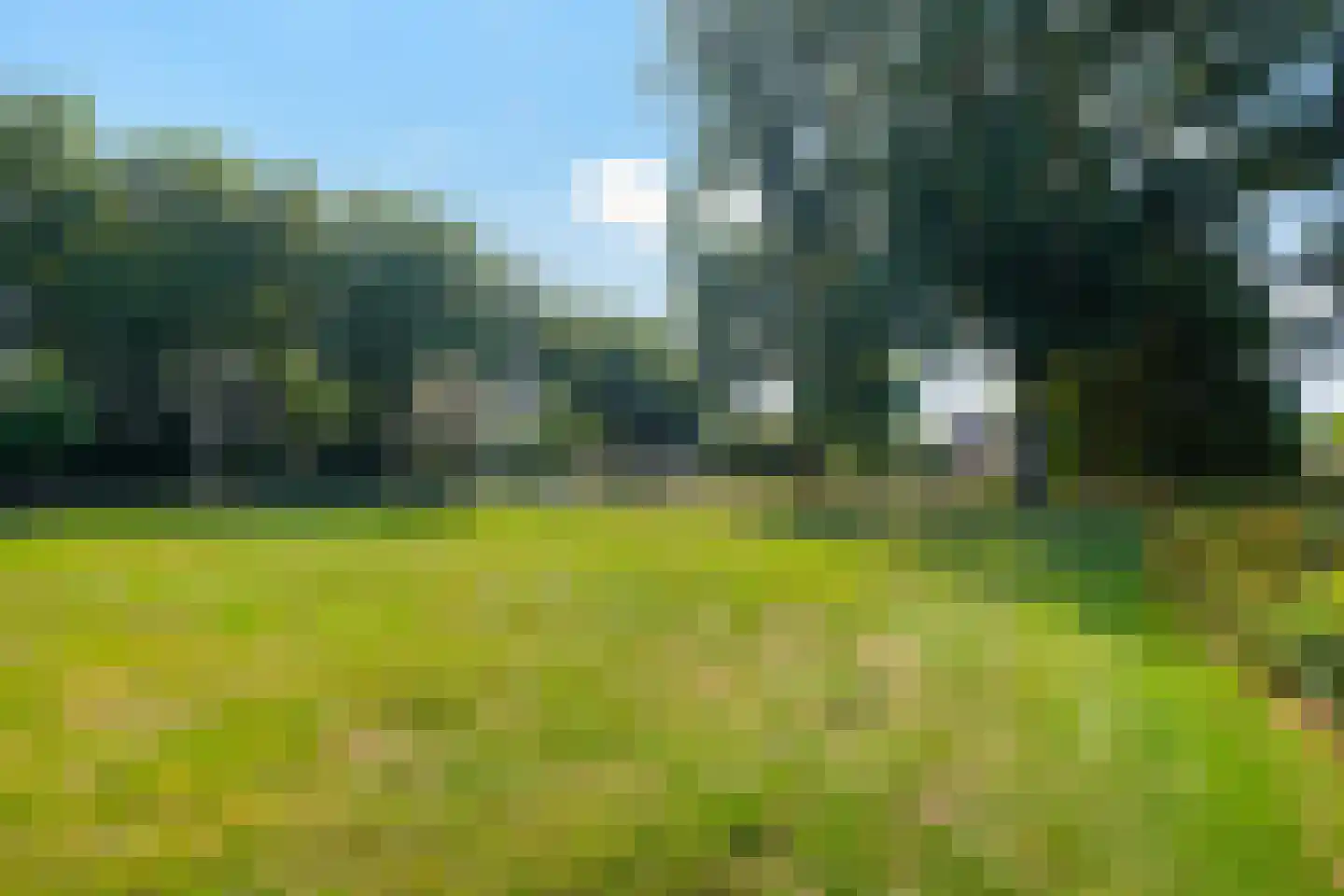De Buiskap 46 Dronten thumbnail 19
