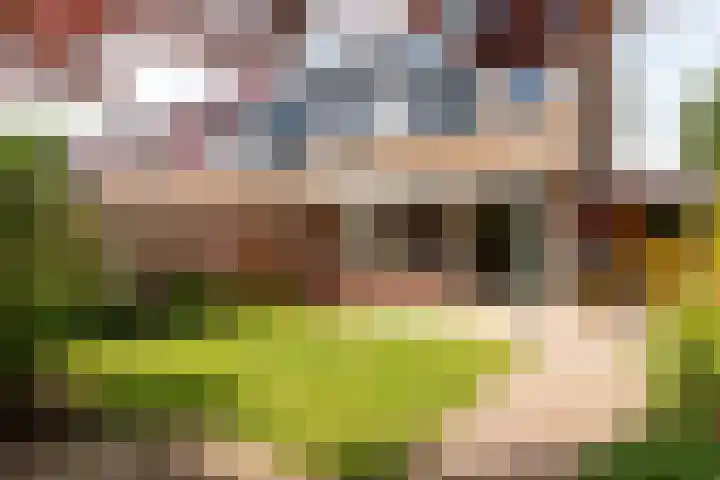 De Buiskap 60 Dronten thumbnail 33