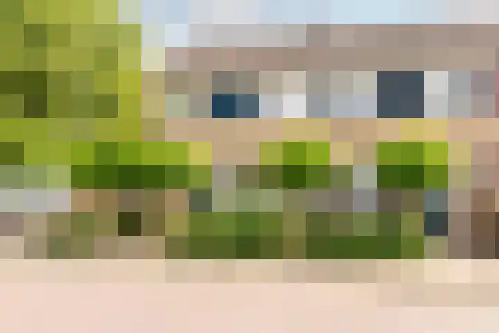 De Buiskap 60 Dronten thumbnail 37