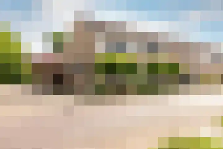 De Buiskap 60 Dronten thumbnail 5