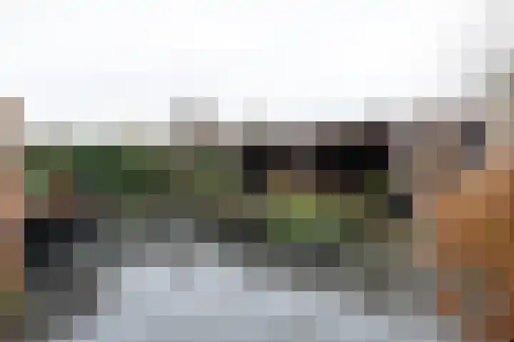 De Buitengracht 38 Steenwijk thumbnail 45