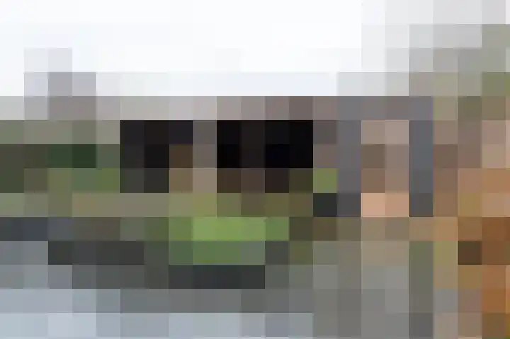 De Buitengracht 38 Steenwijk thumbnail 46