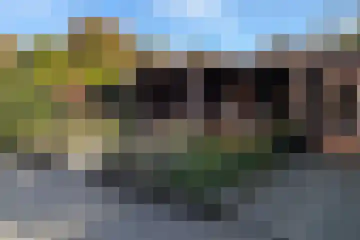 De Buitengracht 38 Steenwijk thumbnail 62