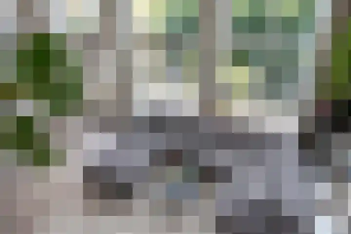 De Buitengracht 54 Steenwijk thumbnail 10