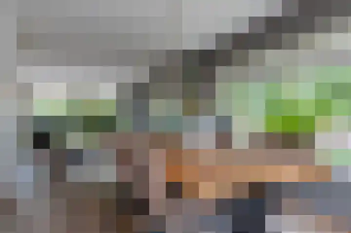 De Buitengracht 54 Steenwijk thumbnail 16