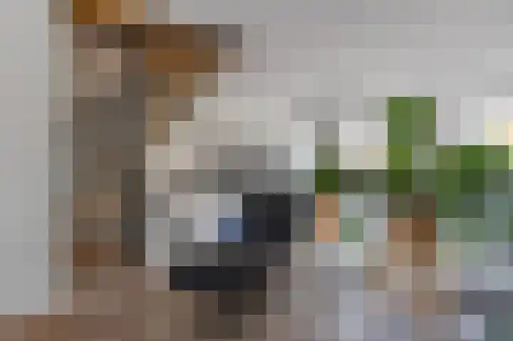 De Buitengracht 54 Steenwijk thumbnail 17