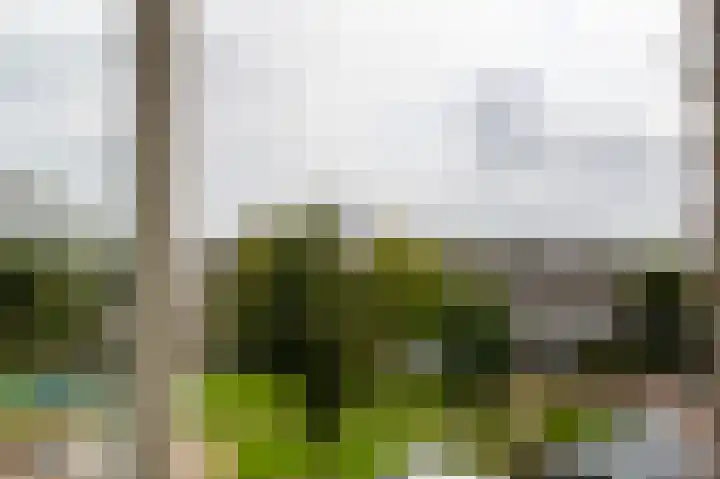 De Buitengracht 54 Steenwijk thumbnail 23