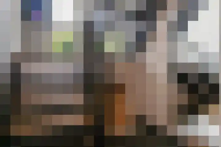 De Buitengracht 54 Steenwijk thumbnail 31