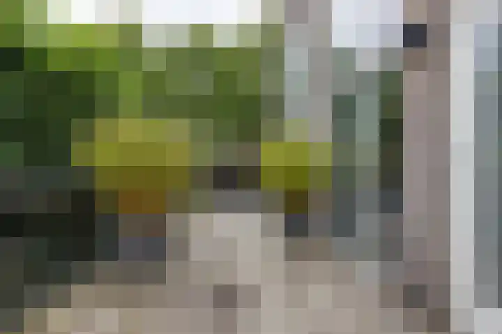 De Buitengracht 54 Steenwijk thumbnail 39
